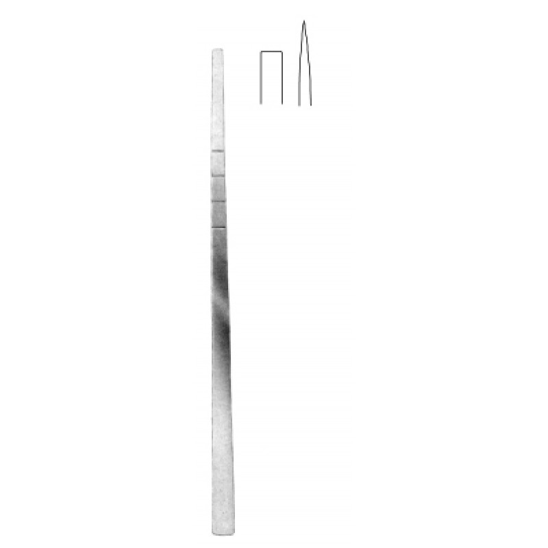 Text