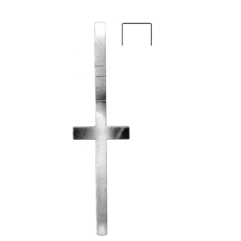 Text