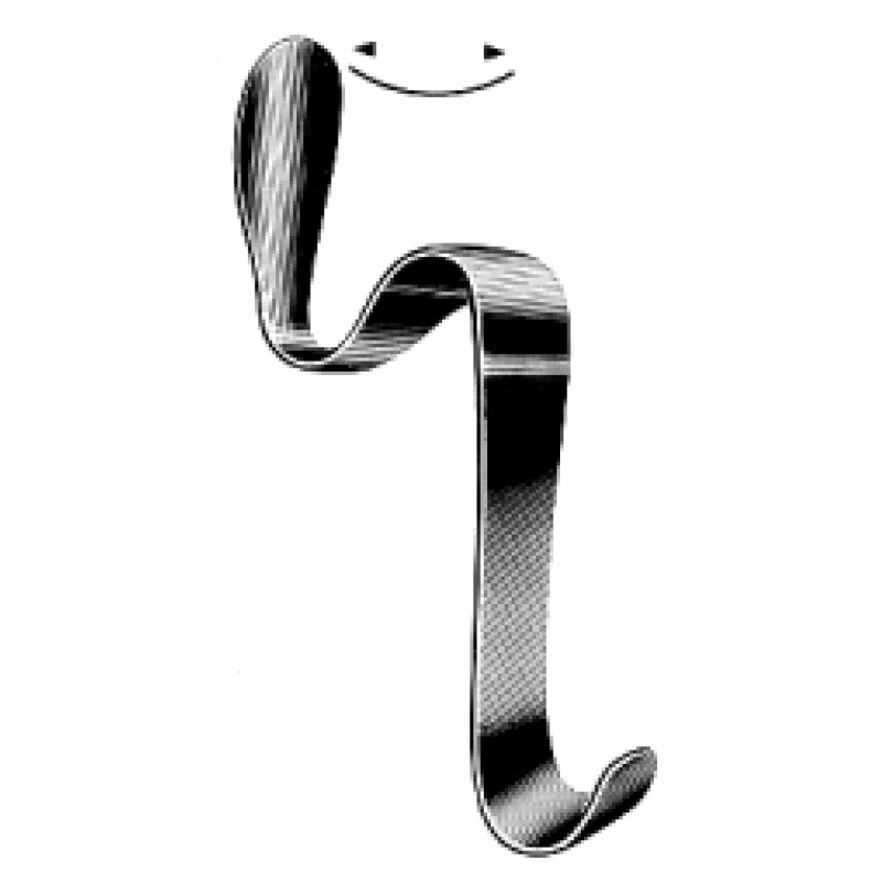 Text