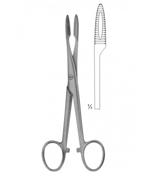Endodontic Forscepes, Tissue Forcepes, Haemostatic Forcepes, Towel Clamps