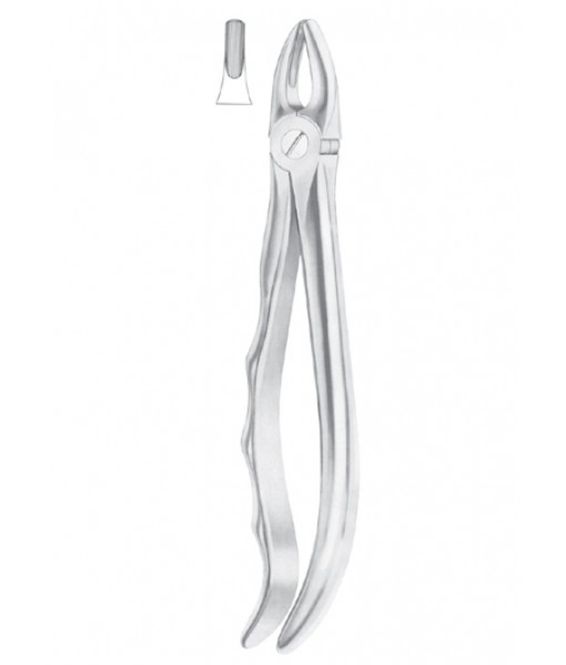 Extracting Forceps English Pattern