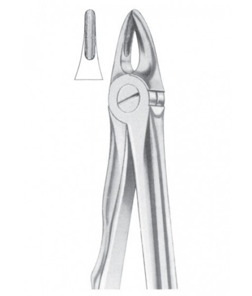 Extracting Forceps English Pattern