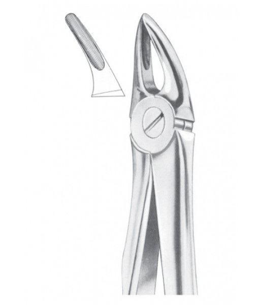 Extracting Forceps English Pattern