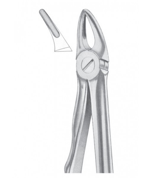 Extracting Forceps English Pattern