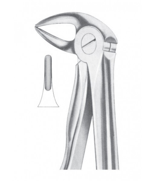 Extracting Forceps English Pattern