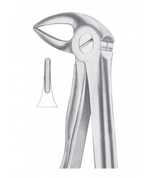 Extracting Forceps English Pattern