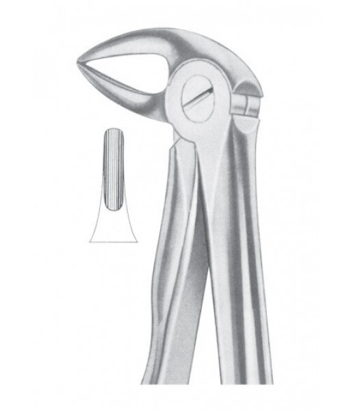 Extracting Forceps English Pattern