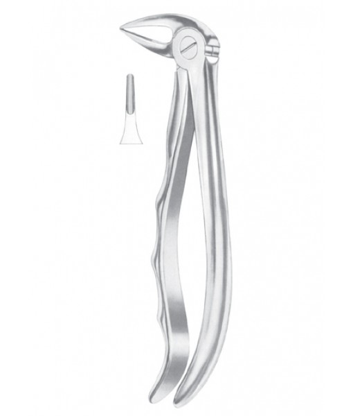 Extracting Forceps English Pattern