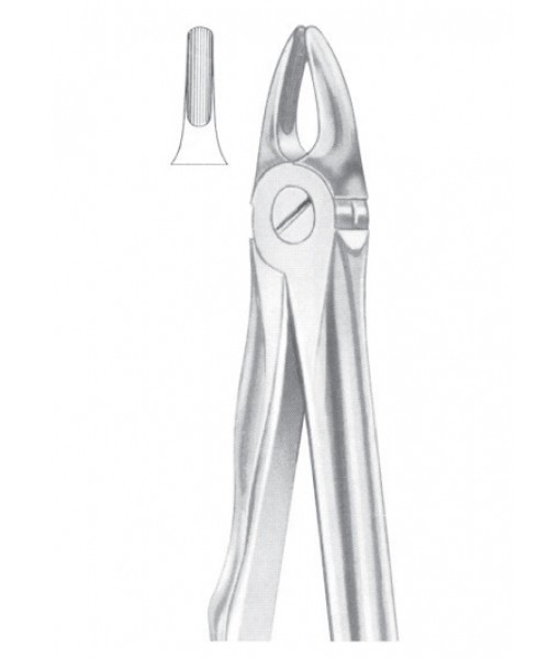Extracting Forceps English Pattern