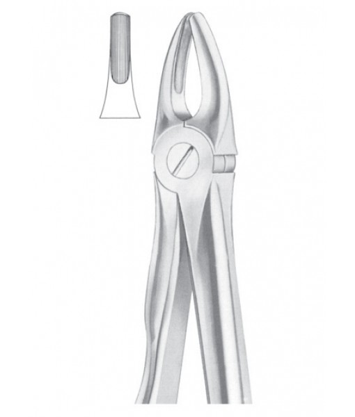 Extracting Forceps English Pattern