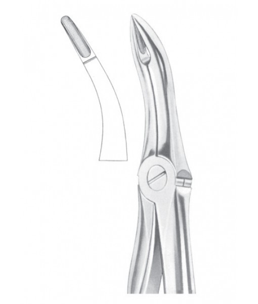 Extracting Forceps English Pattern