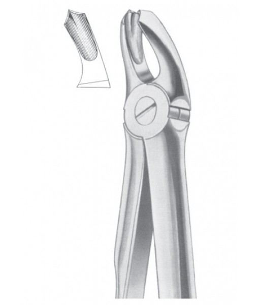Extracting Forceps English Pattern