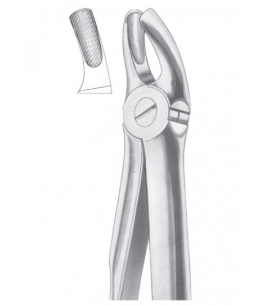Extracting Forceps English Pattern