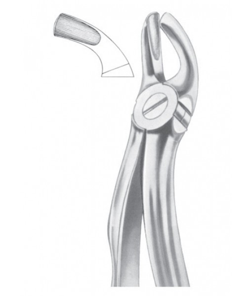 Extracting Forceps English Pattern