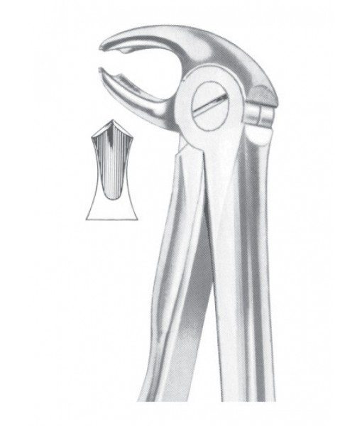 Extracting Forceps English Pattern