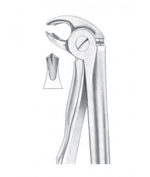 Extracting Forceps English Pattern