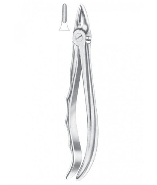 Extracting Forceps English Pattern