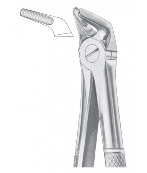 Extracting Forceps