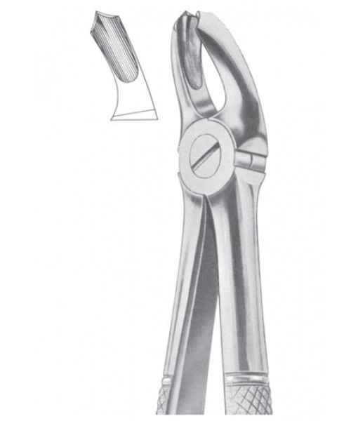 Extracting Forceps