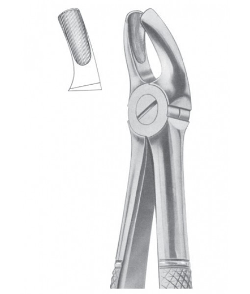 Extracting Forceps