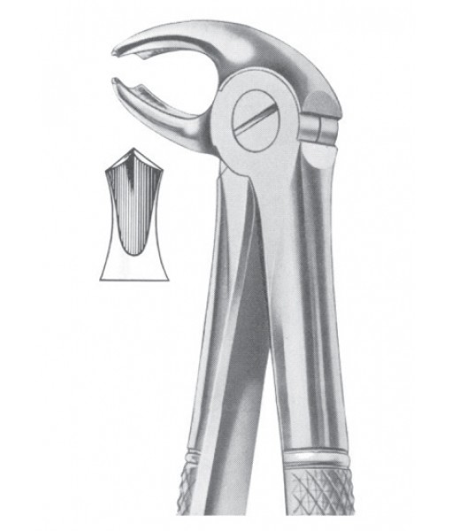 Extracting Forceps