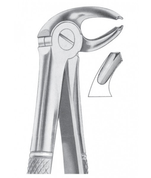Extracting Forceps