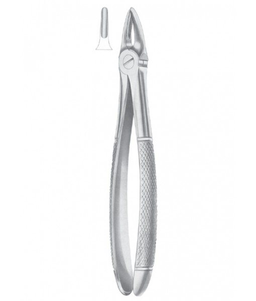 Extracting Forceps