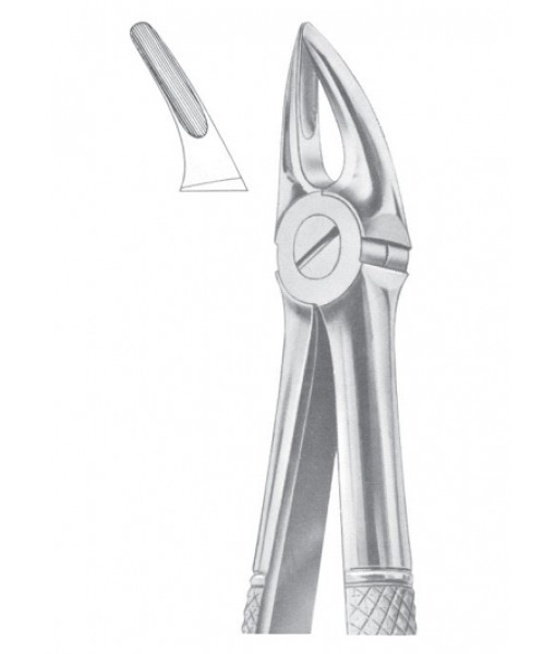 Extracting Forceps