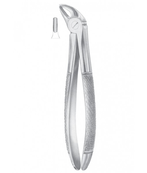 Extracting Forceps
