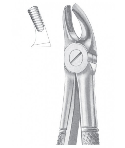 Extracting Forceps