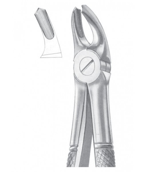 Extracting Forceps