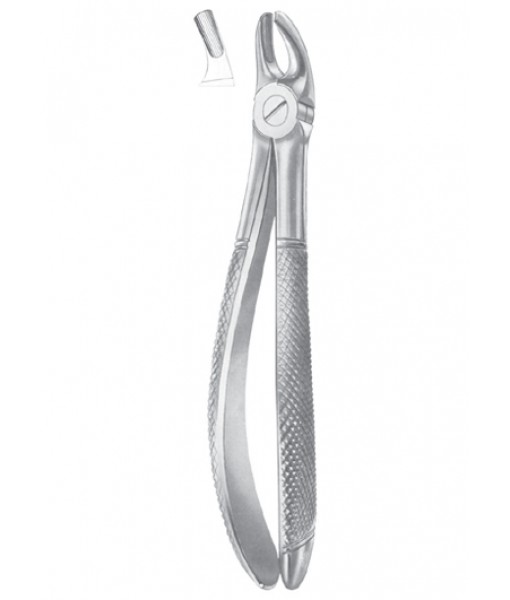 Extracting Forceps