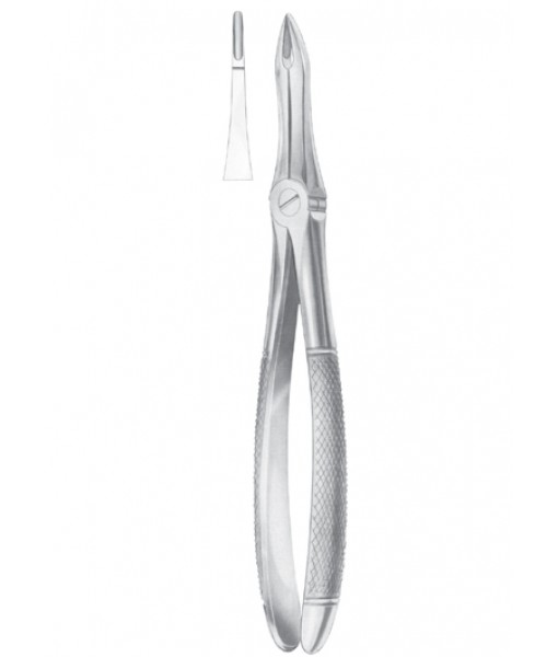 Extracting Forceps
