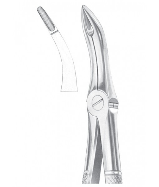 Extracting Forceps