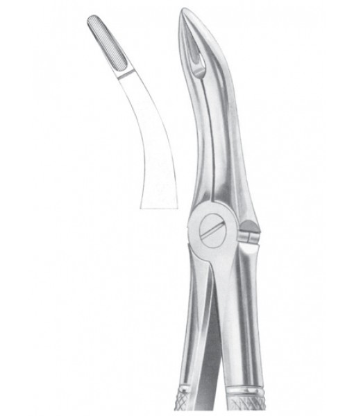 Extracting Forceps