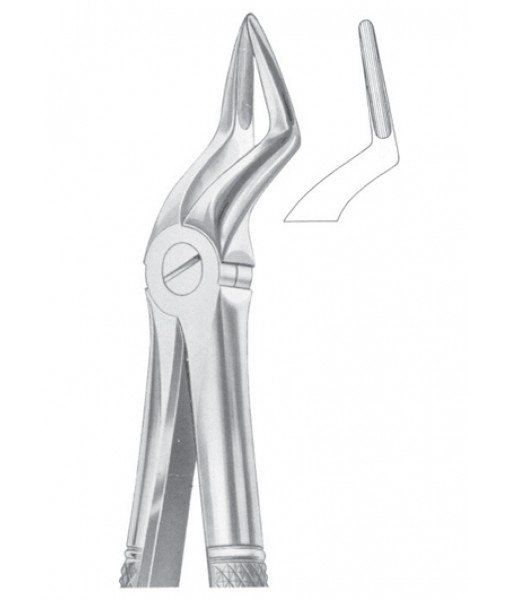 Extracting Forceps