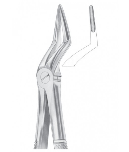 Extracting Forceps