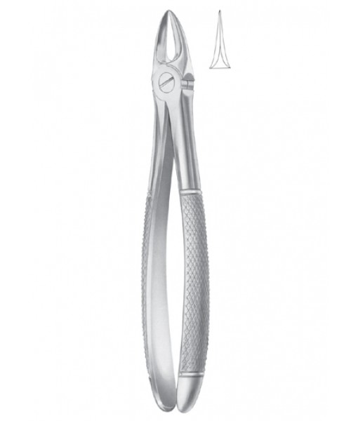 Extracting Forceps