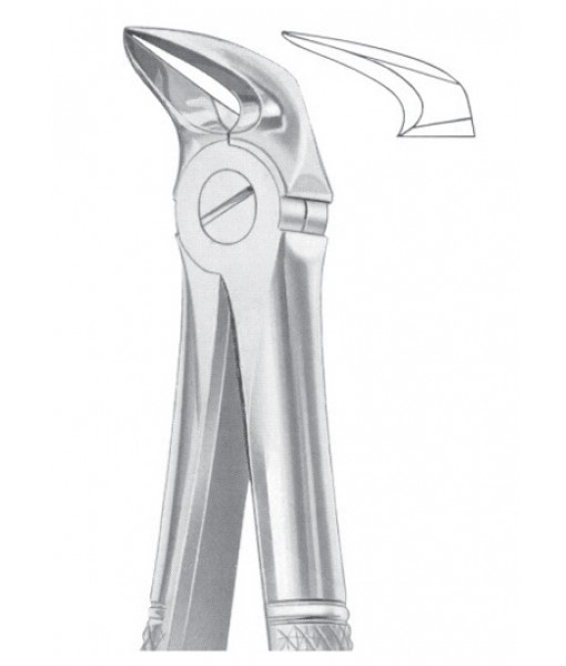 Extracting Forceps