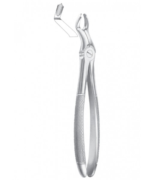 Extracting Forceps