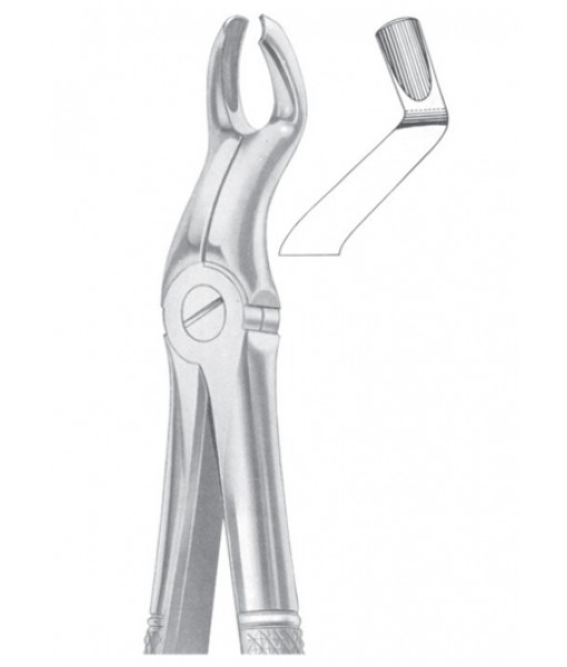 Extracting Forceps