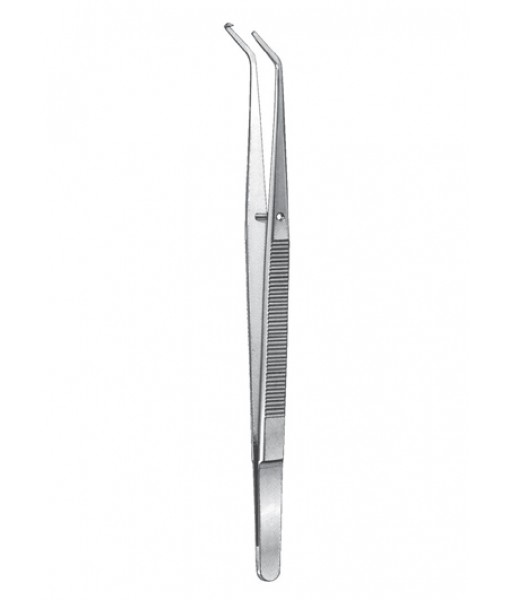 Files,Hoes,Knives,Wax and Plaster Knives