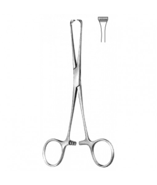 Intestinal & Stomach