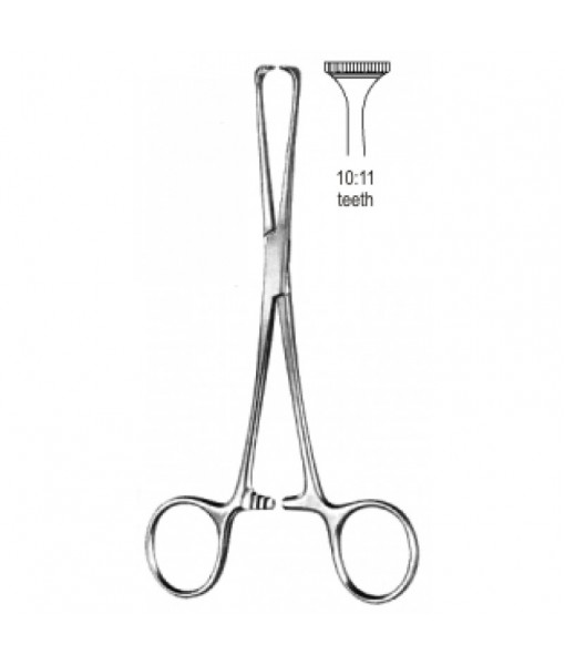 Intestinal & Stomach