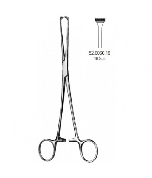 Intestinal & Stomach