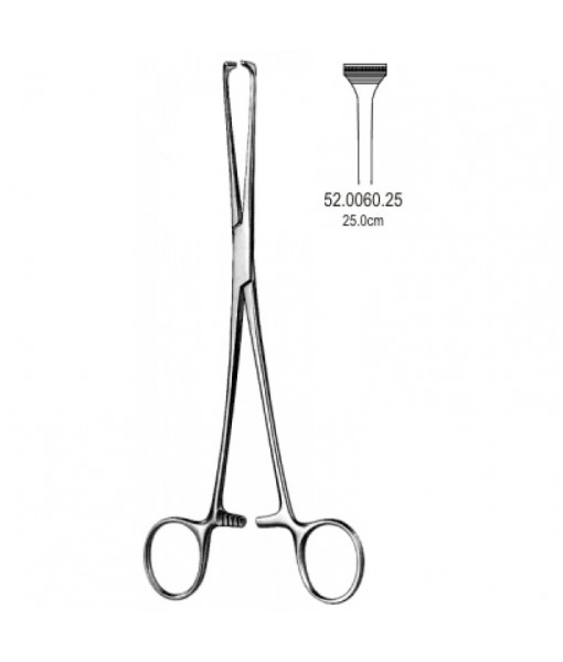 Intestinal & Stomach