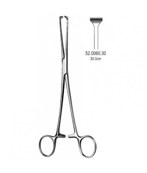 Intestinal & Stomach