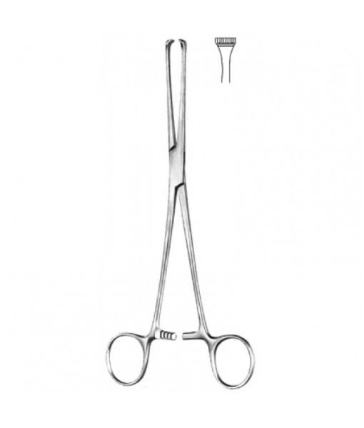 Intestinal & Stomach