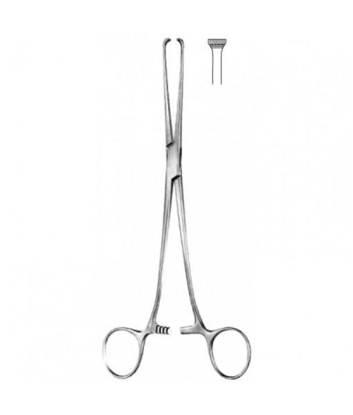 Intestinal & Stomach