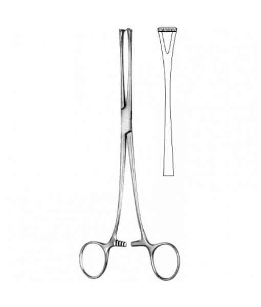 Intestinal & Stomach